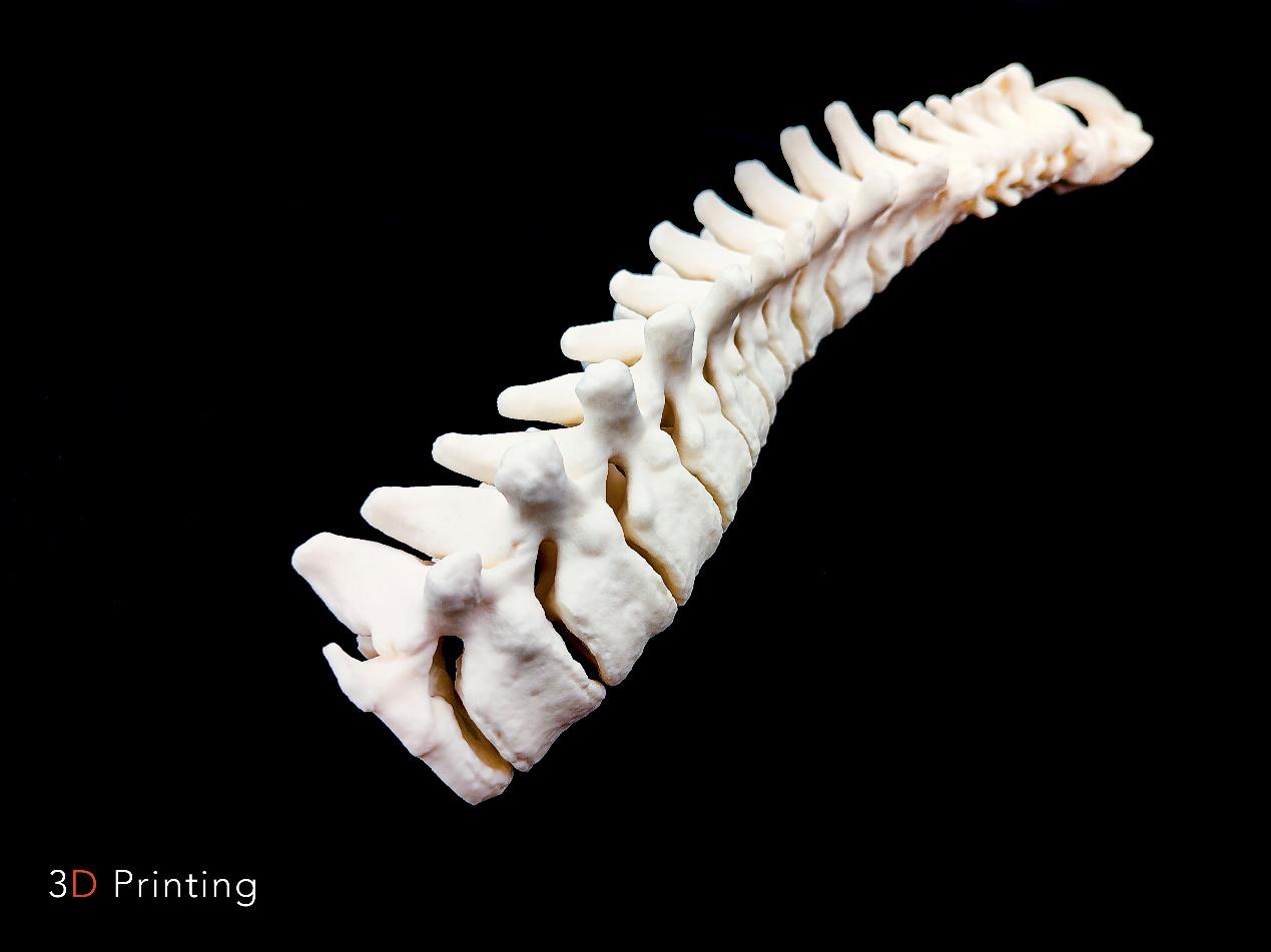 選擇性激光燒結(jié) 選擇性激光燒結(jié)